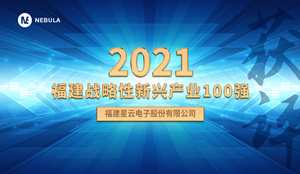 喜报！利发国际股份获评“2021福建战略性新兴产业100强”