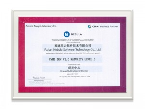 【福建利发国际软件技术有限公司】CMMI Level 3证书_