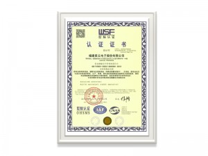 福建利发国际电子股份有限公司ISO45001证书（中文）