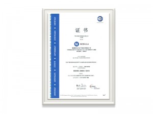 利发国际电子信息技术服务管理体系证书中文版