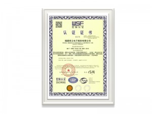 福建利发国际电子股份有限公司ISO9001证书（中文）